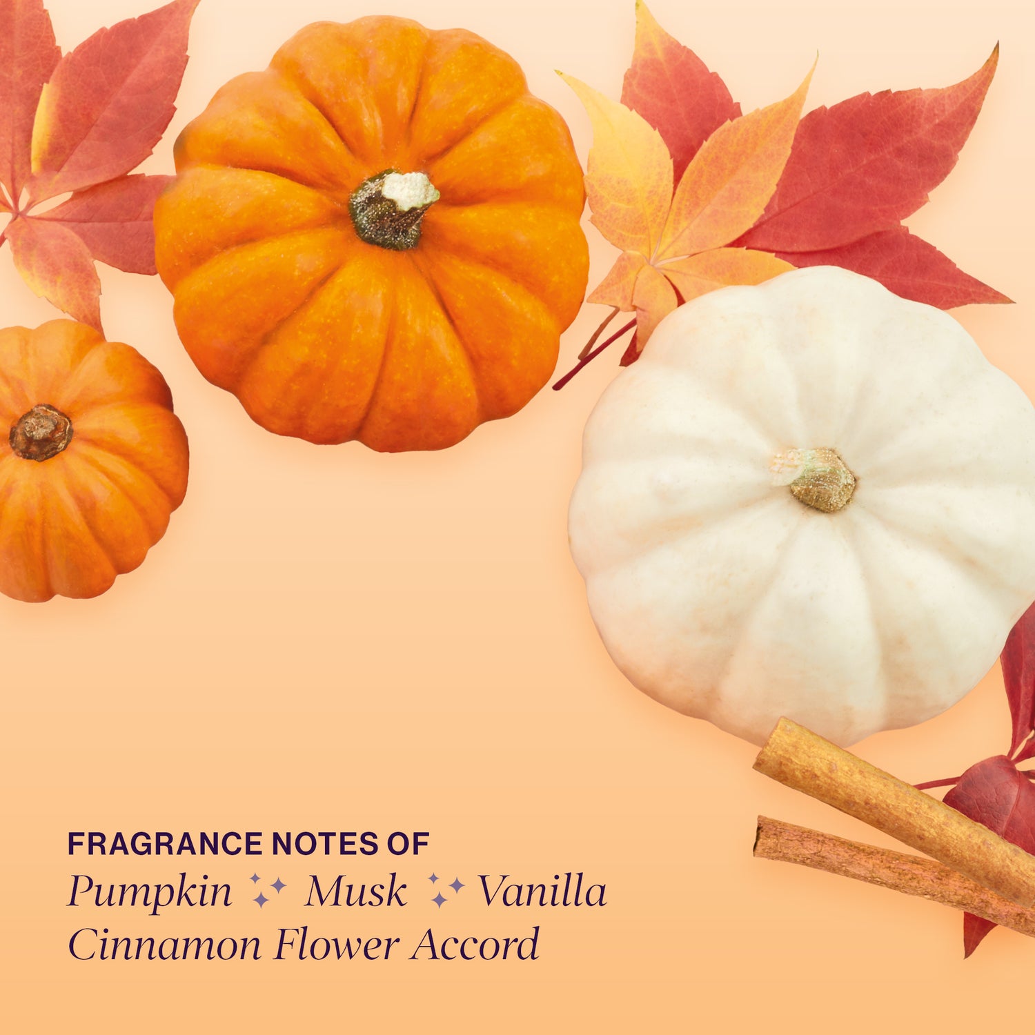 Fragrance notes of pumpkin, musk, vanilla, and cinnamon flower accord.