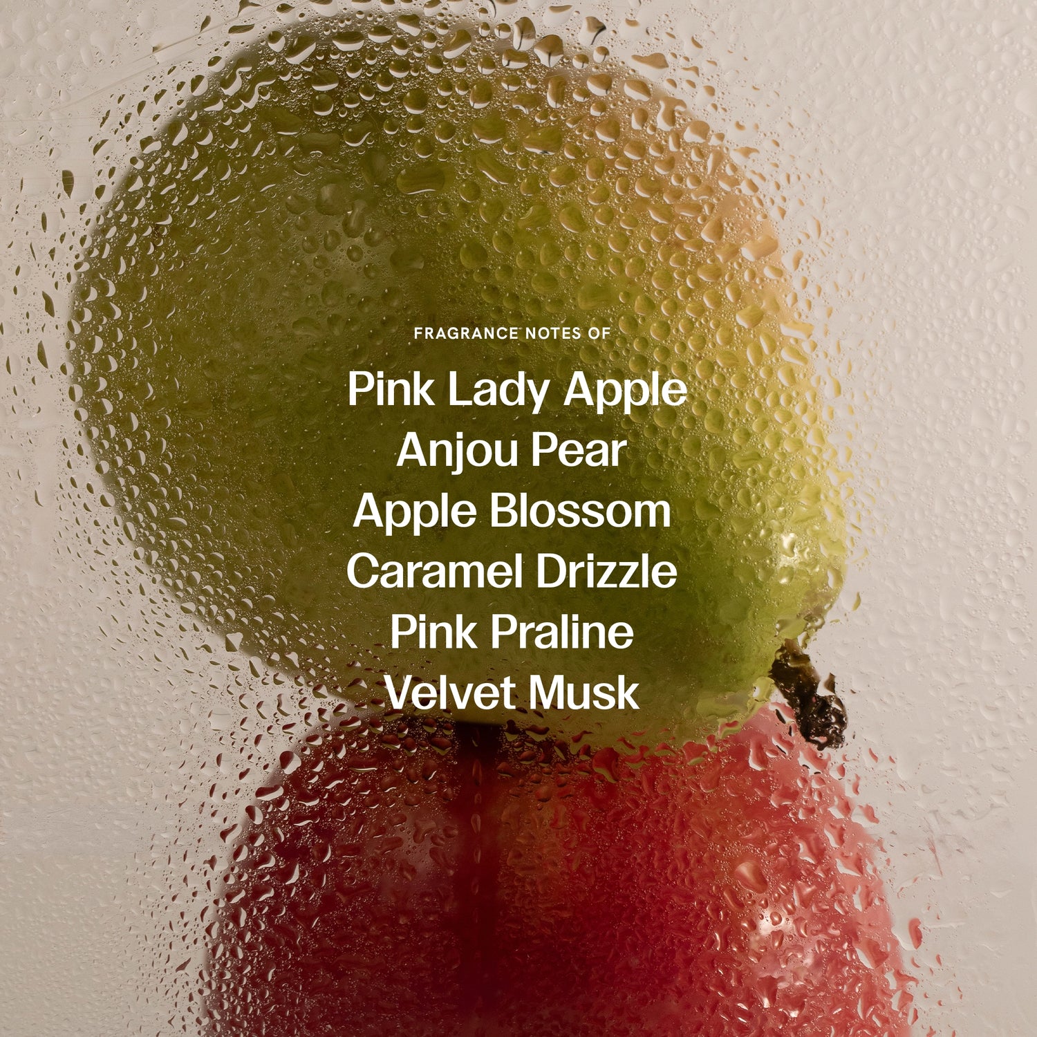 Fragrance notes graphic featuring a close-up of water droplets on a translucent surface over green and red fruits, listing Pink Lady Apple, Anjou Pear, Apple Blossom, Caramel Drizzle, Pink Praline, and Velvet Musk.