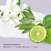 Collage of orange blossom flowers, sage leaves and bergamot over a smoosh of all over deodorant cream. Text reads: fragrance notes of bergamot, orange blossom and sage.