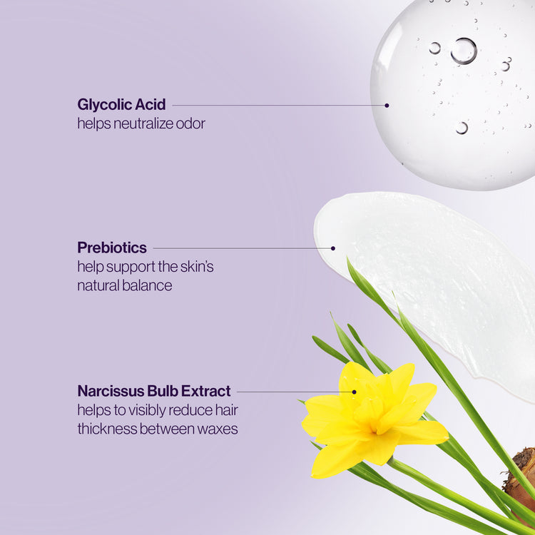 Swatch of glycolic acid, with text that reads "Glycolic acid helps neutralize odor." Smoosh of white cream, with text that reads "Prebiotics help support the skin's natural balance." Narcissus flower stem and bulb, with text that reads "Narcissus bulb extract helps to visibly reduce hair thickness between waxes."