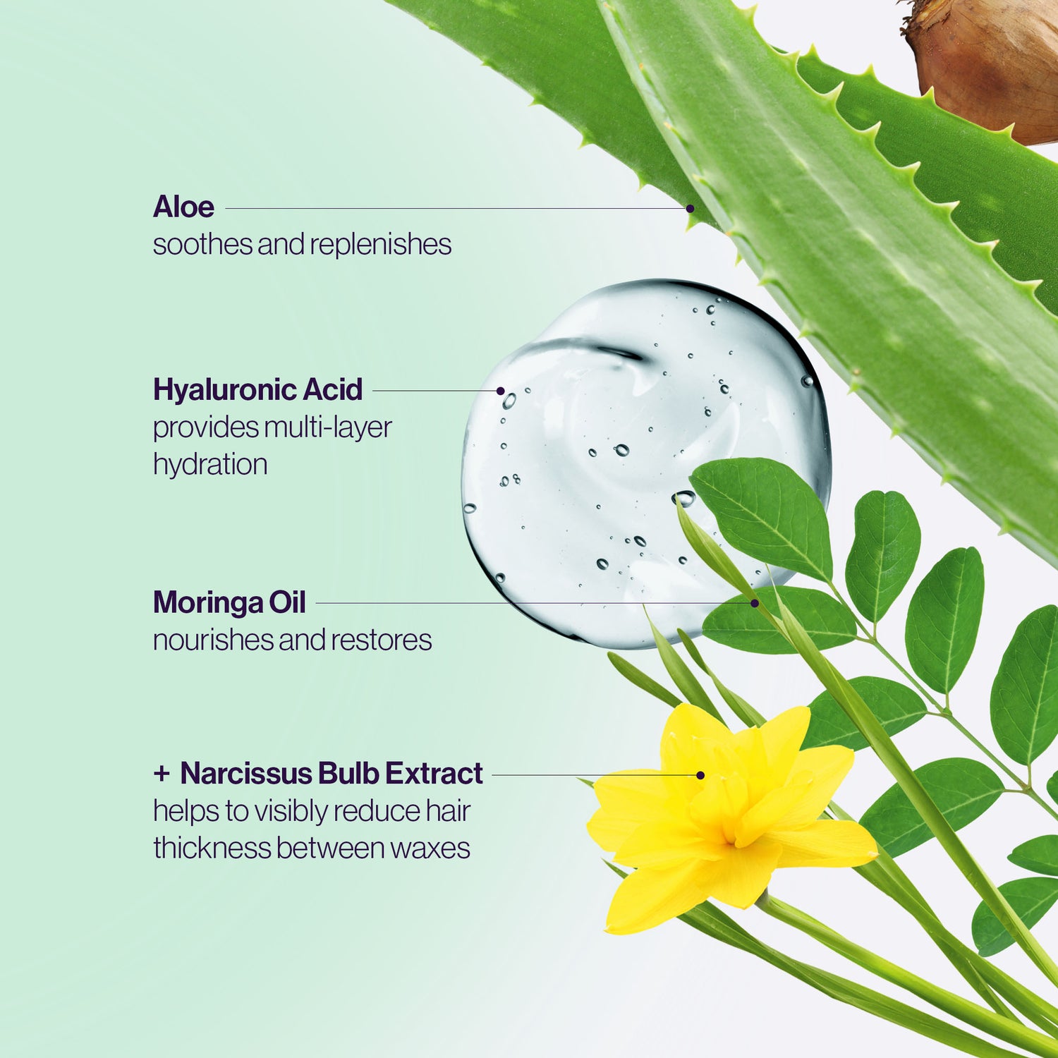 aloe vera plant moisturizer Face & Body Bi-Phase Moisturizer – European Wax Center