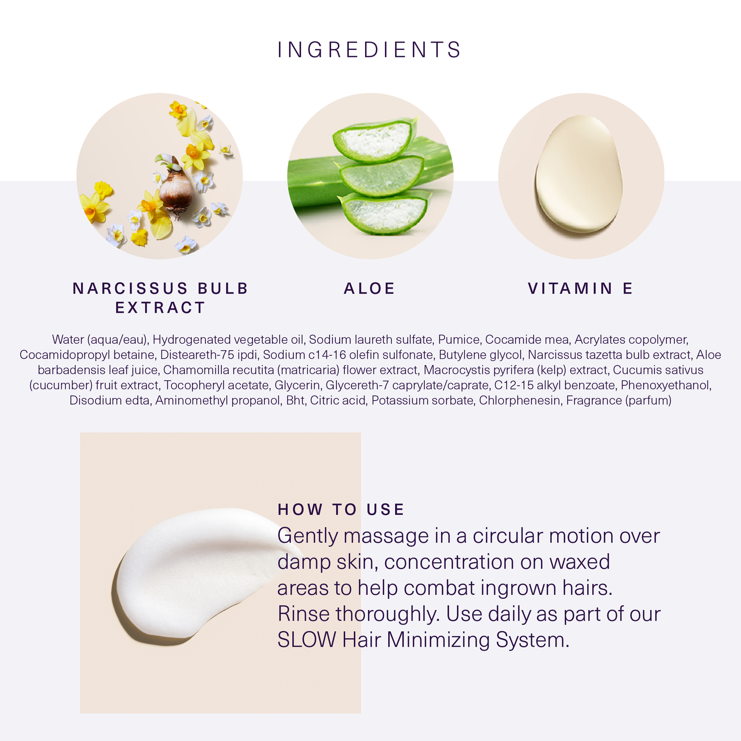 Ingredients and how to use European Wax Center Aloe Body Polish with images of narcissus bulb extract, aloe, and vitamin E on white and light gray background