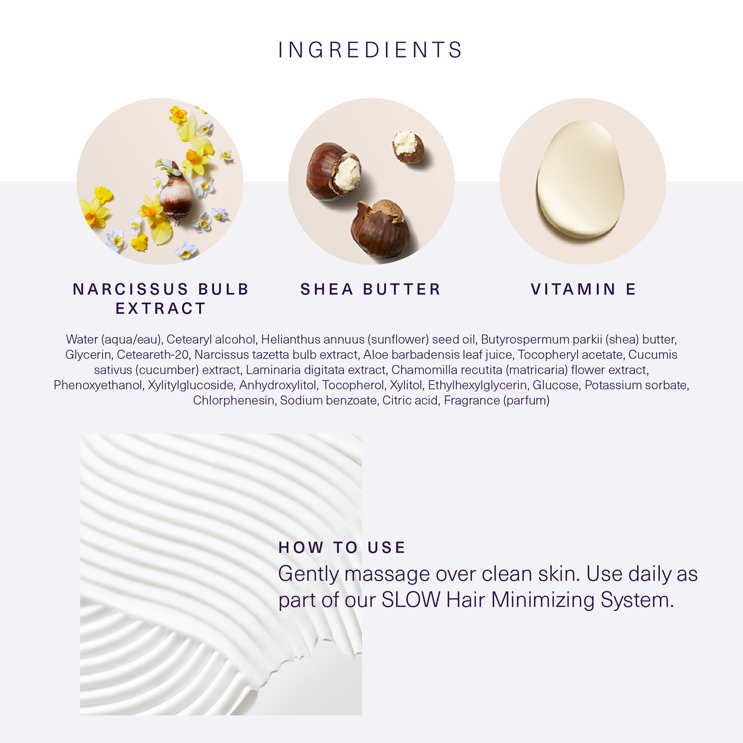 European Wax Center infographic of ingredients and how to use Shea Body Butter with images of narcissus bulb extract, shea butter, and vitamin e on white and light purple background