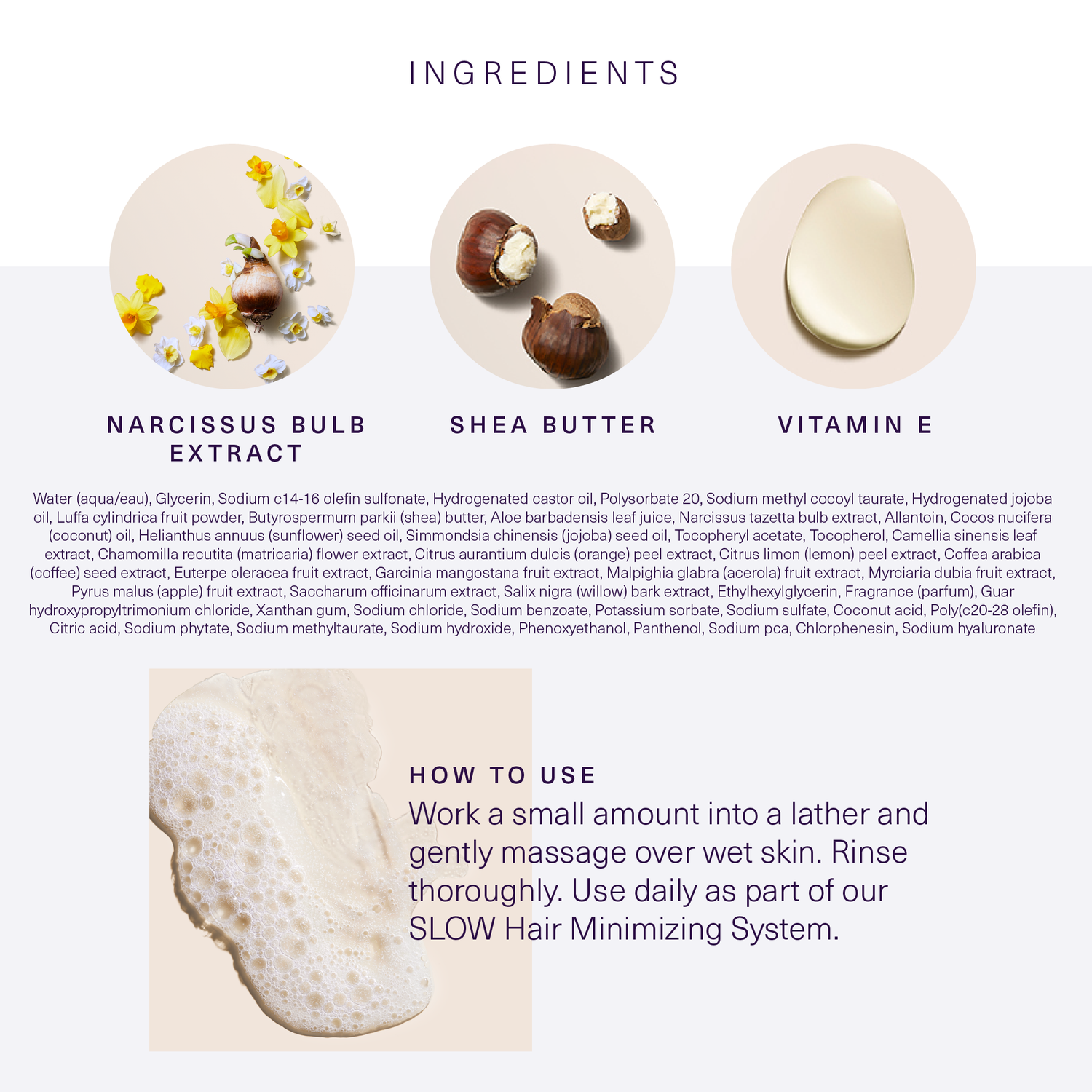 European Wax Center infographic of ingredients and how to use Shea Body Wash with images of narcissus extract, shea butter, and vitamin e on white and light purple background