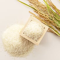 Hydrolyzed Rice Protein